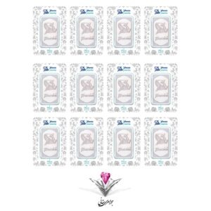 n31-12-bullion-silver-parsis