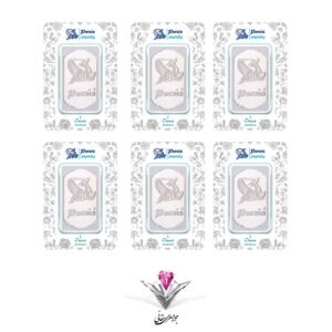 n31-6-bullion-silver-parsis