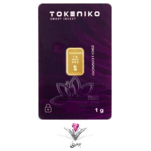 tokeniko-1