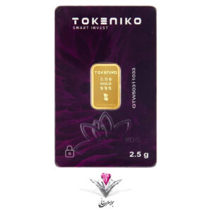 tokeniko-2.5