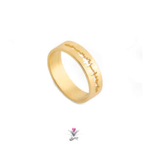 خرید حلقه فرکانس صدا