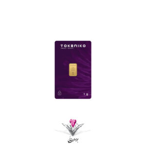 tokeniko-1