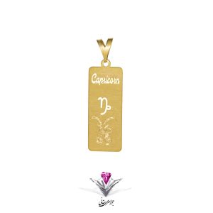 آویز طلا زنانه زودیاک( دی)