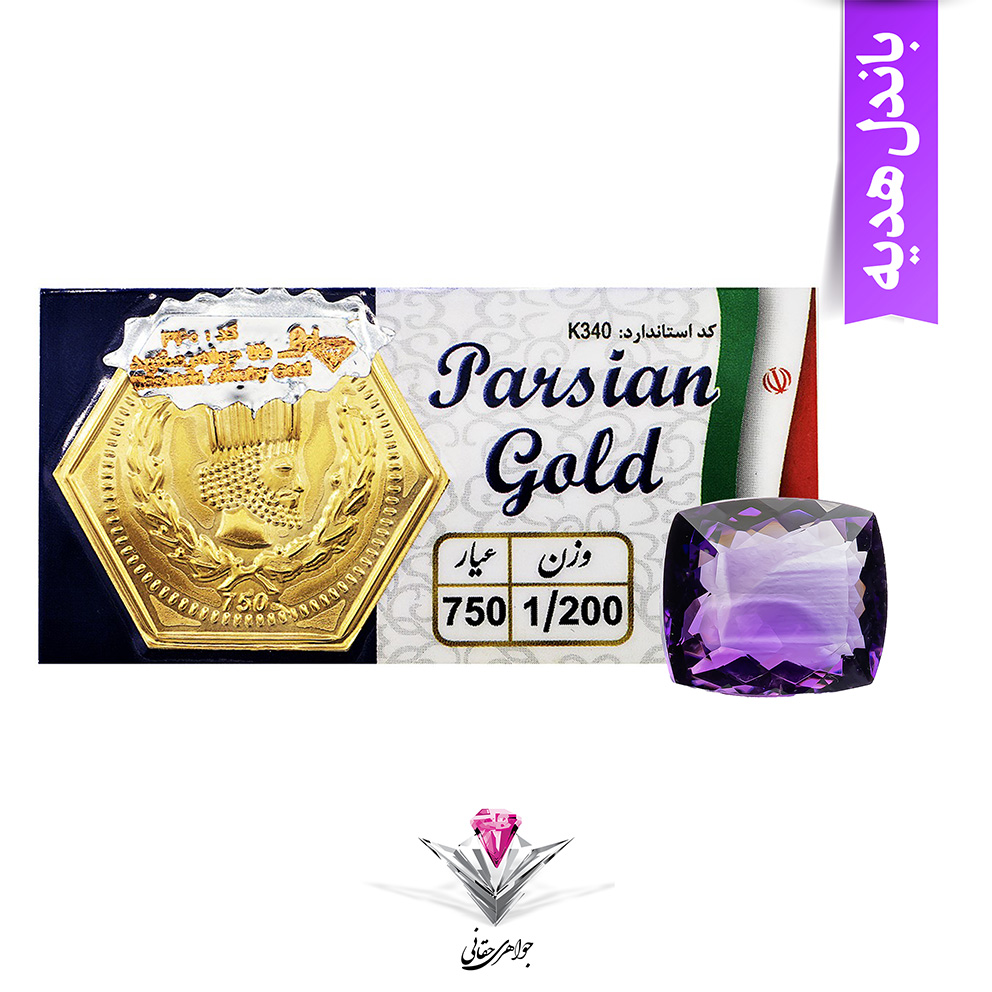 باندل سکه پارسیان 1.2 گرمی طلای ۱۸ عیار به همراه سنگ آمیتیست مدل 32
