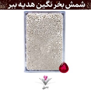 باندل ساچمه نقره حقانی مدل 150 گرمی عیار 999.9 با تکنولوژی NFC به همراه سنگ یاقوت سرخ