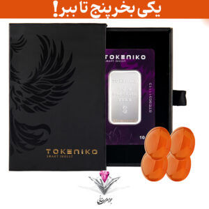 باندل شمش نقره توکنیکو 10 گرمی (999.9) به همراه دو عدد سنگ عقیق + دو عدد عقیق رایگان