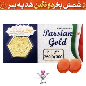 باندل سکه پارسیان ۳۰۰ سوت به همراه سنگ عقیق + عقیق رایگان