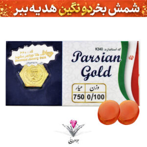 باندل سکه پارسیان 100 سوت به همراه سنگ عقیق + عقیق رایگان