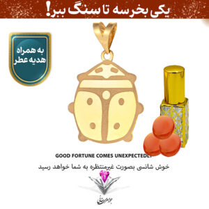 ⭐باندل آویز طلا شانس (LUCK) طرح کفشدوزک به همراه سنگ عقیق + دوعدد عقیق و عطر هدیه⭐