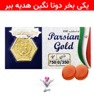 باندل سکه پارسیان 300 سوت به همراه سنگ عقیق + عقیق رایگان